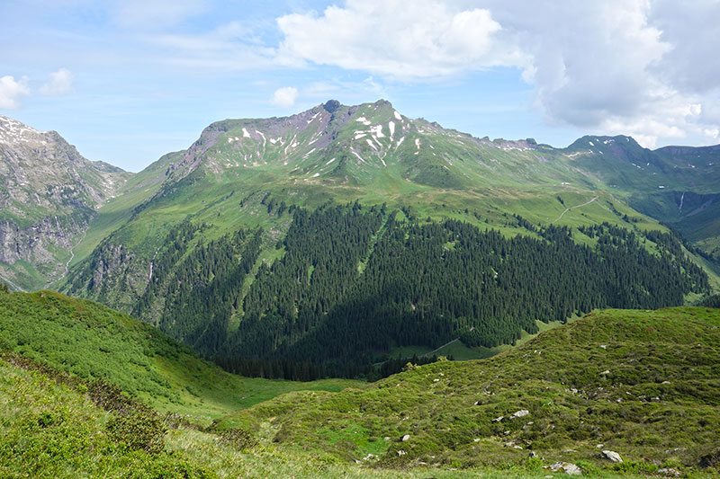 widdersteinerfurg